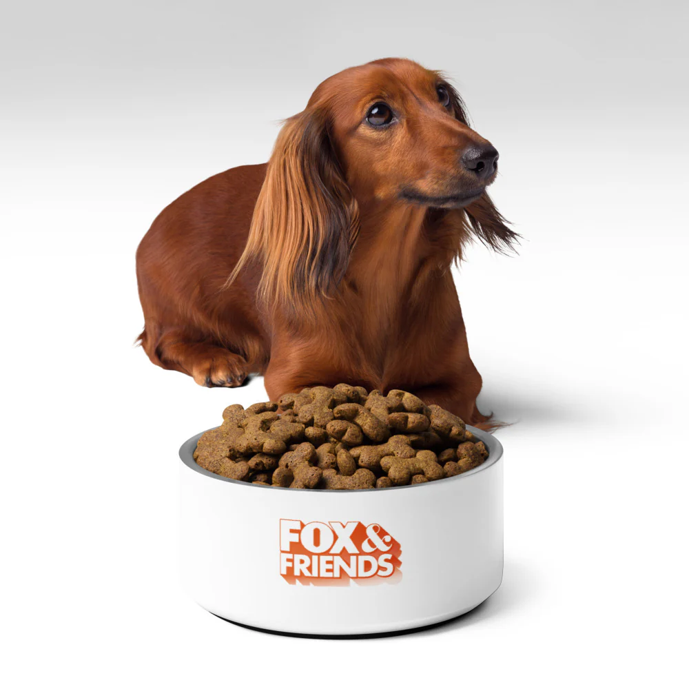 FOX & Friends Pet Bowl - Image 10