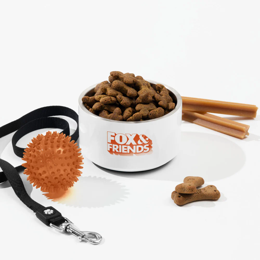 FOX & Friends Pet Bowl - Image 3