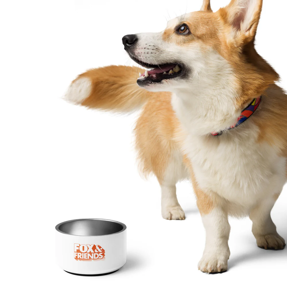 FOX & Friends Pet Bowl - Image 4