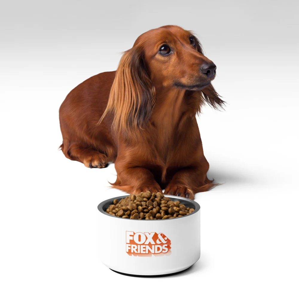 FOX & Friends Pet Bowl - Image 5