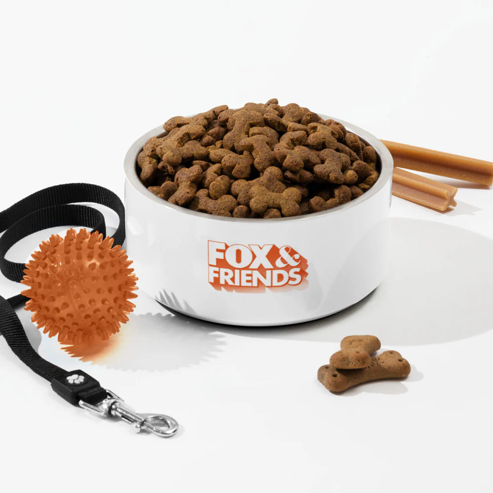 FOX & Friends Pet Bowl - Image 8