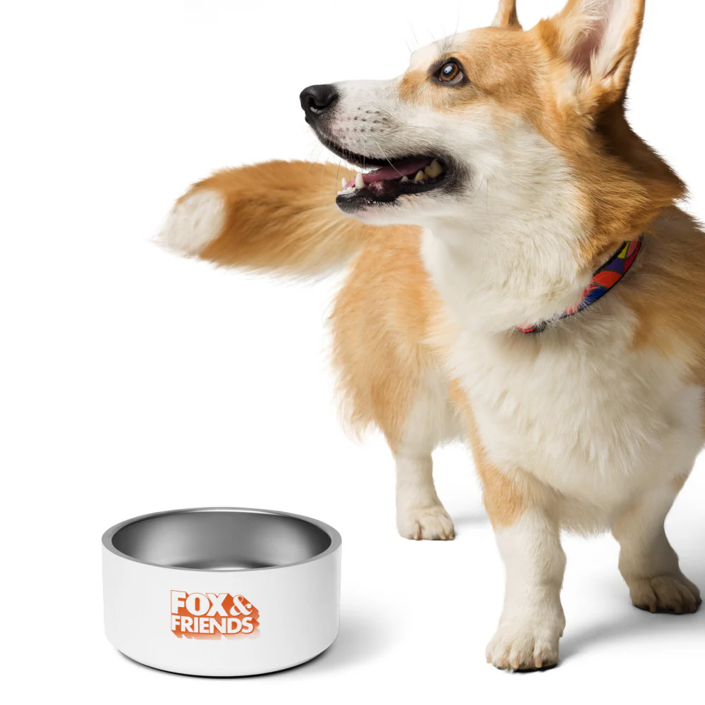 FOX & Friends Pet Bowl - Image 9