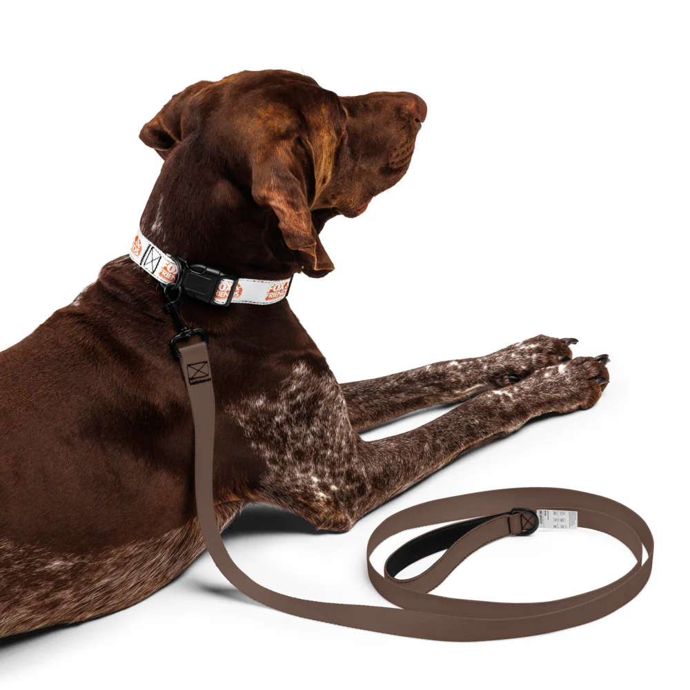FOX & Friends Pet Collar - Image 9