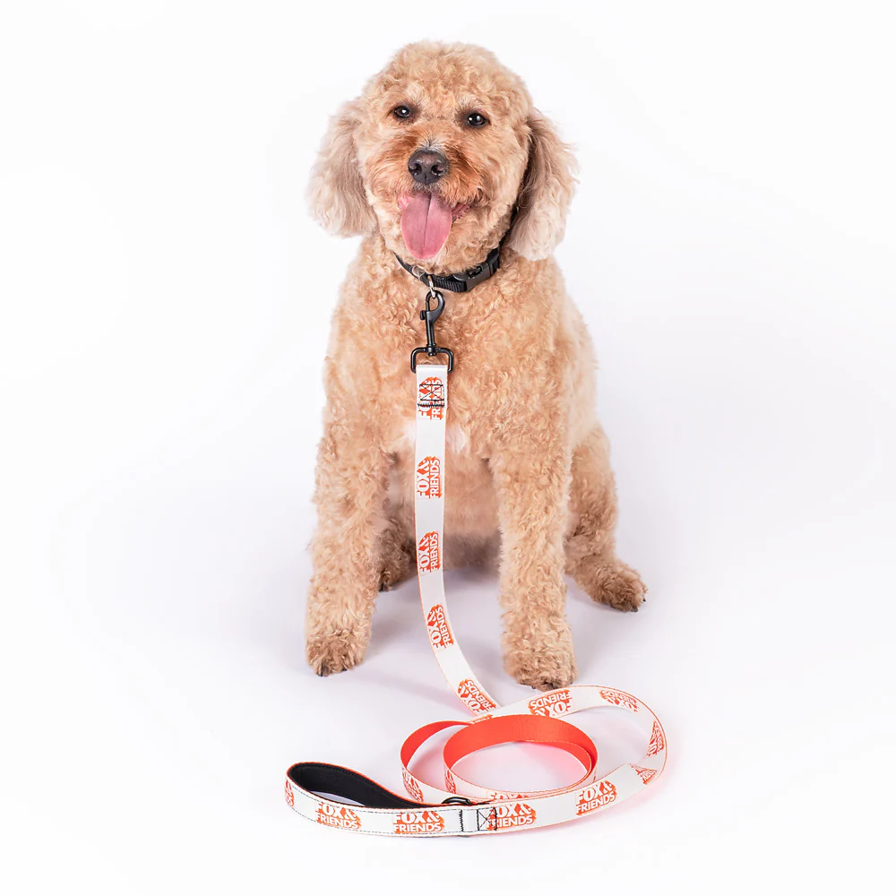 FOX & Friends Pet Leash - Image 3