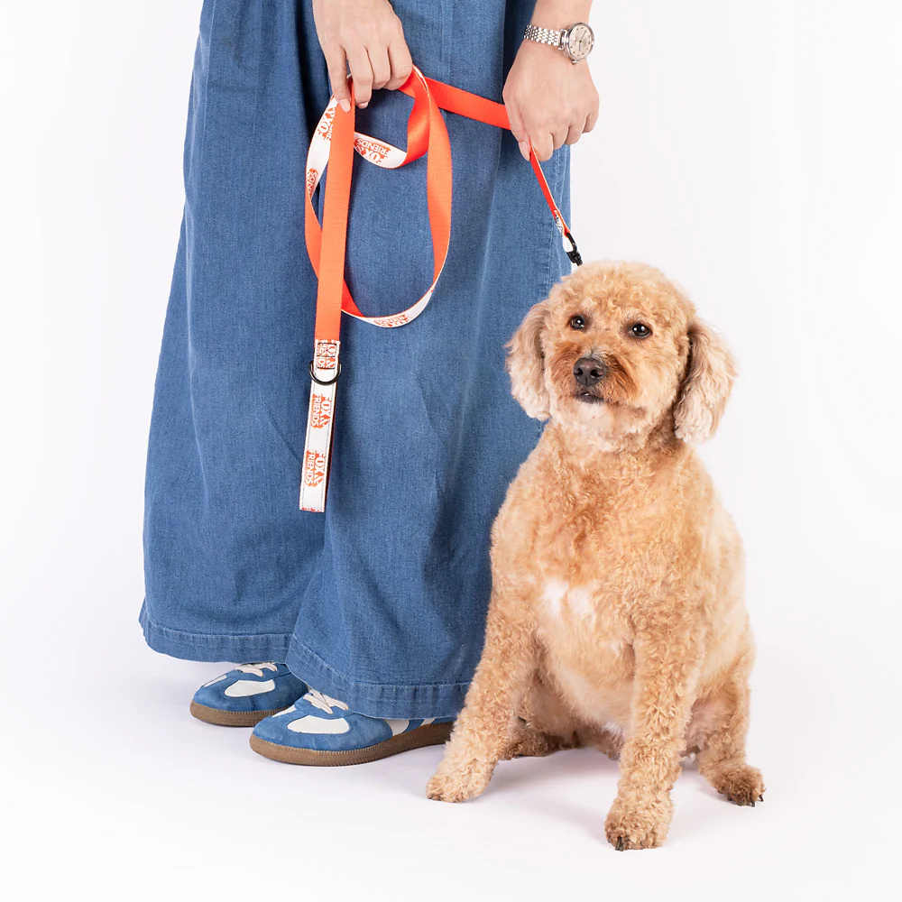 FOX & Friends Pet Leash - Image 4