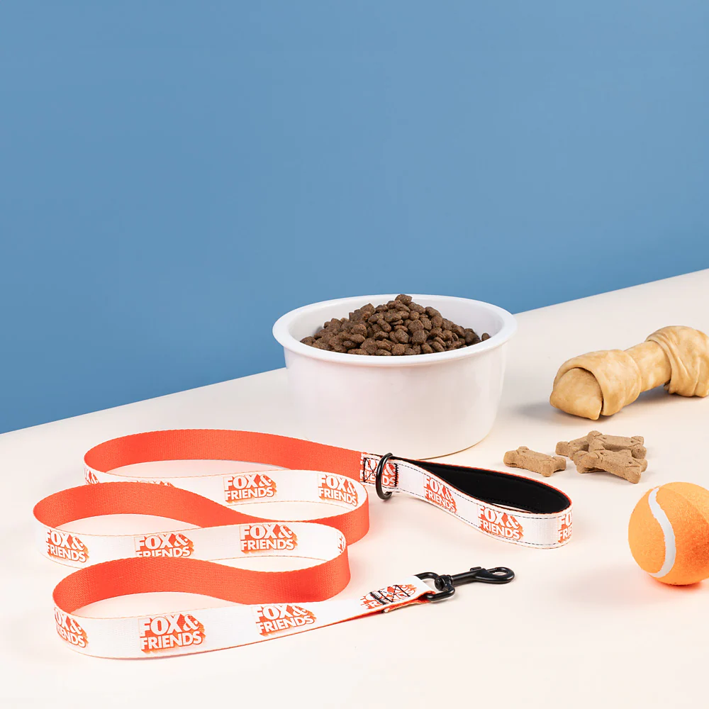 FOX & Friends Pet Leash - Image 5