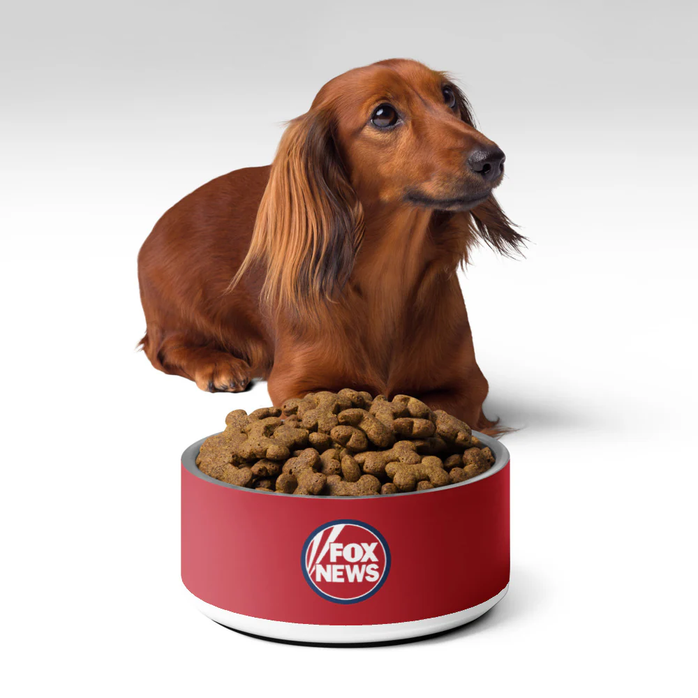 FOX News Pet Bowl - Image 10