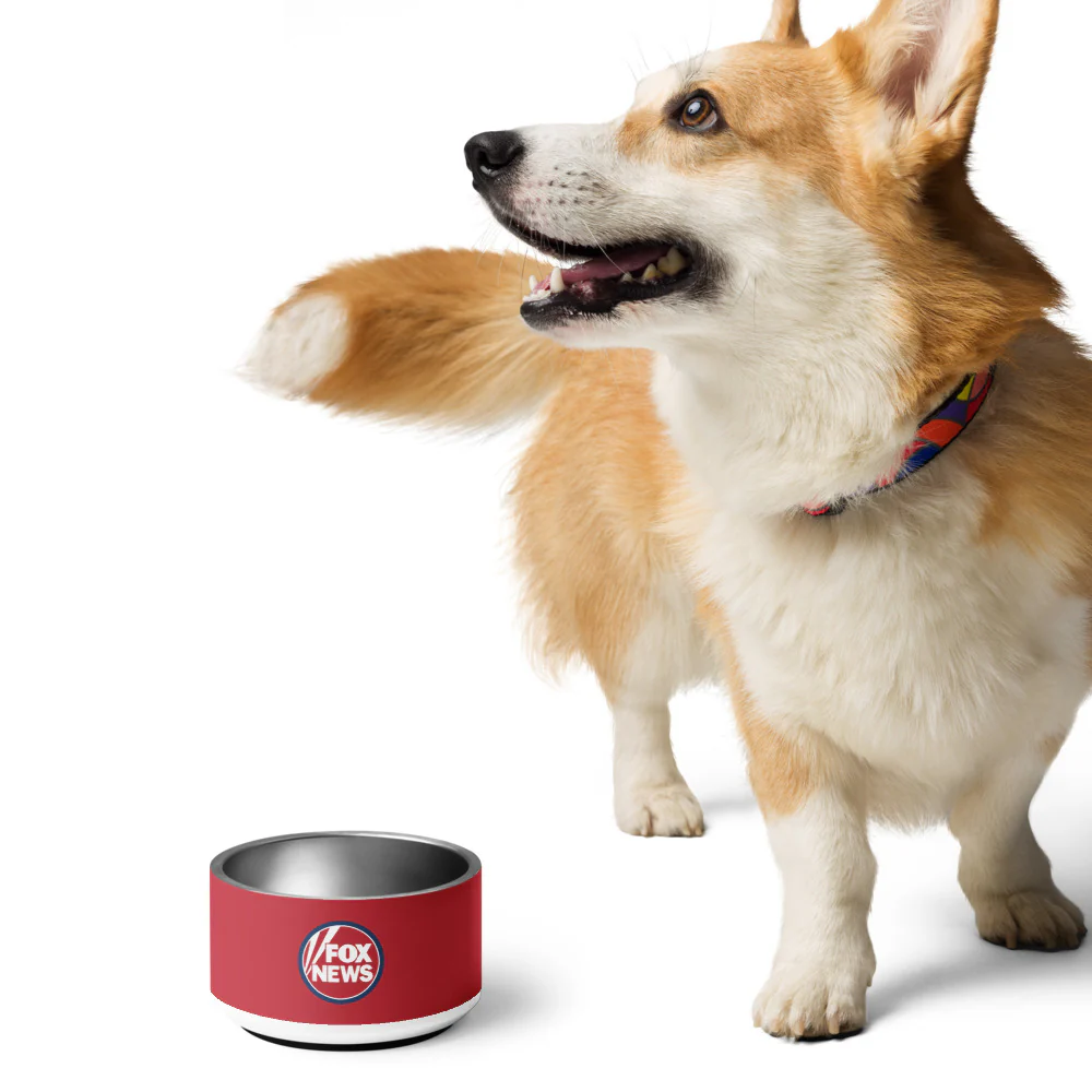 FOX News Pet Bowl - Image 4