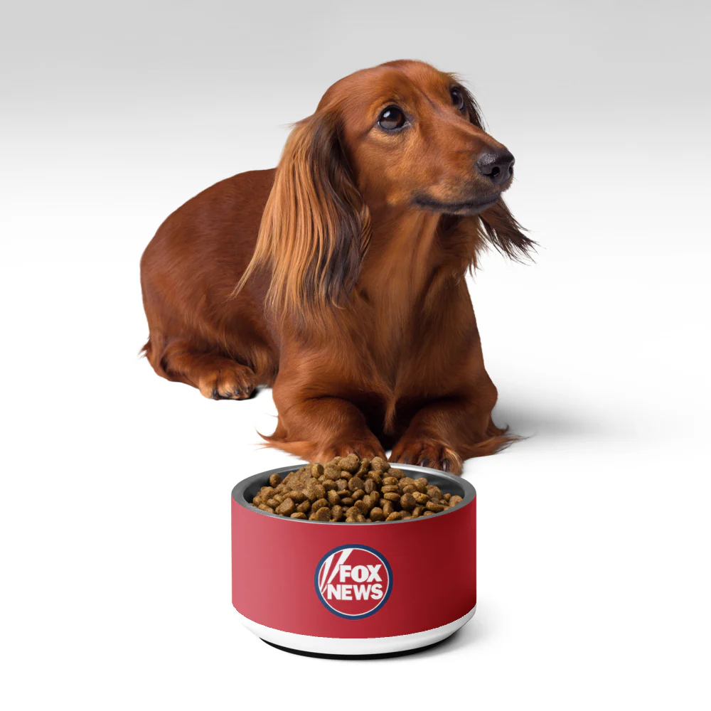 FOX News Pet Bowl - Image 5