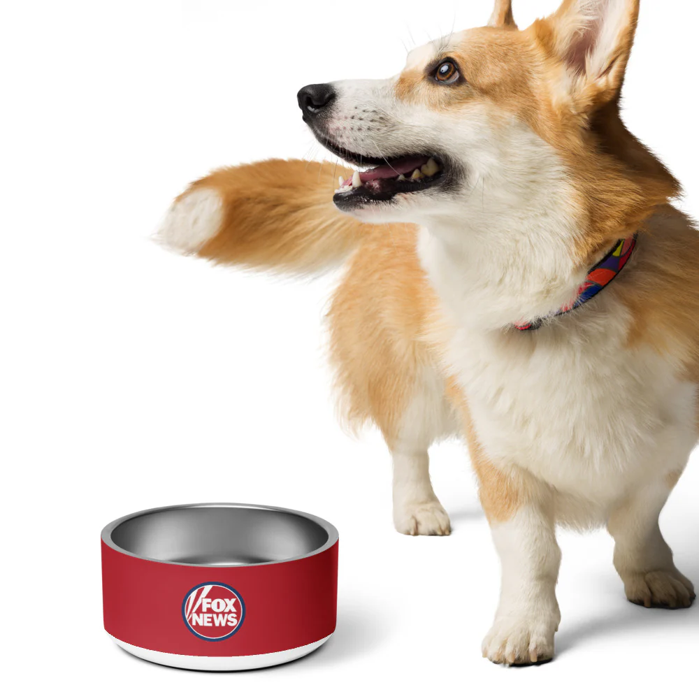 FOX News Pet Bowl - Image 9