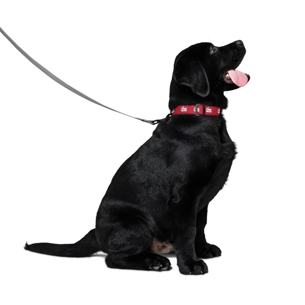 FOX News Pet Collar - Image 7