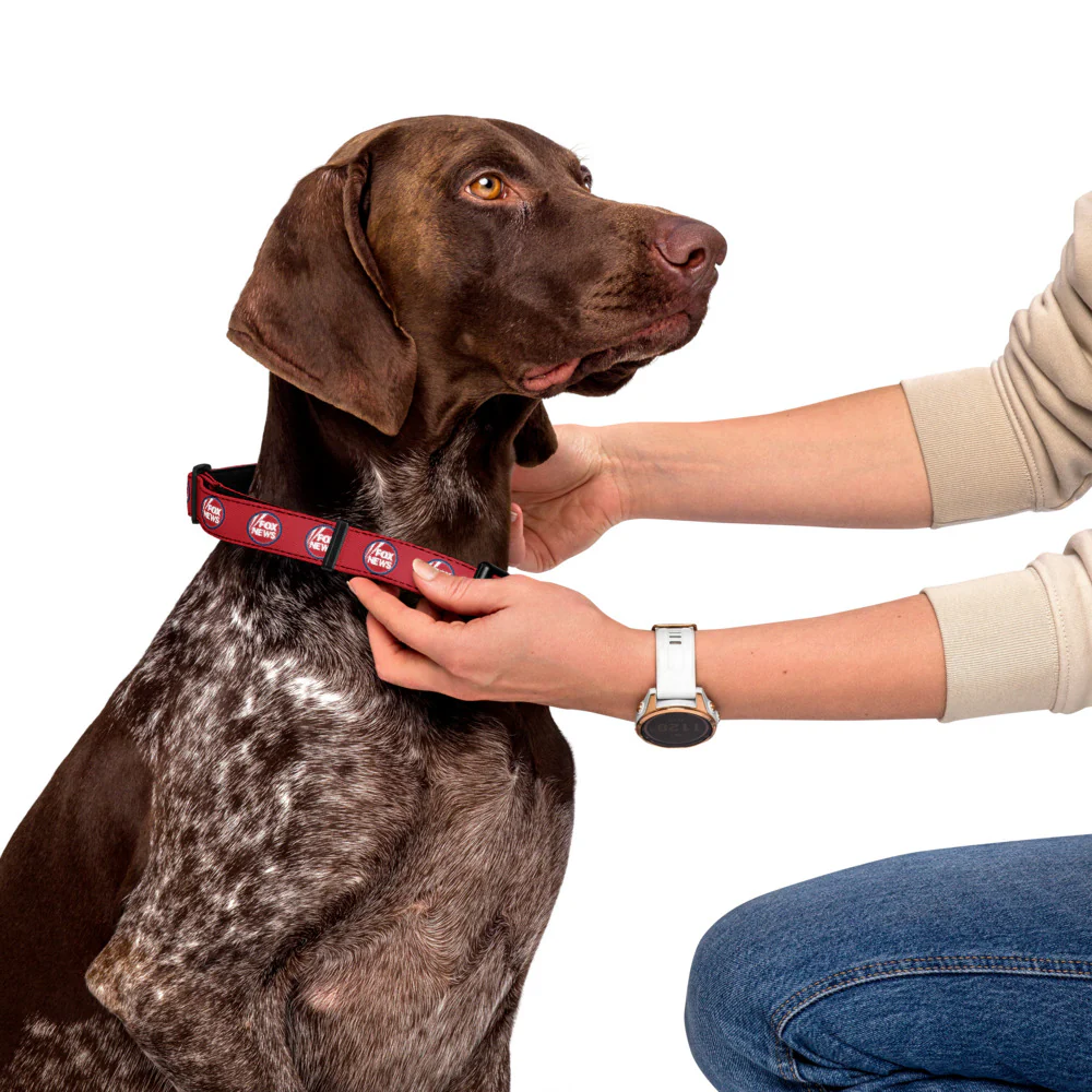 FOX News Pet Collar - Image 9