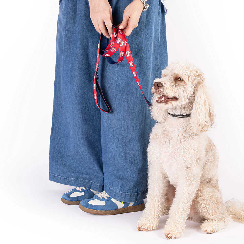FOX News Pet Leash - Image 4