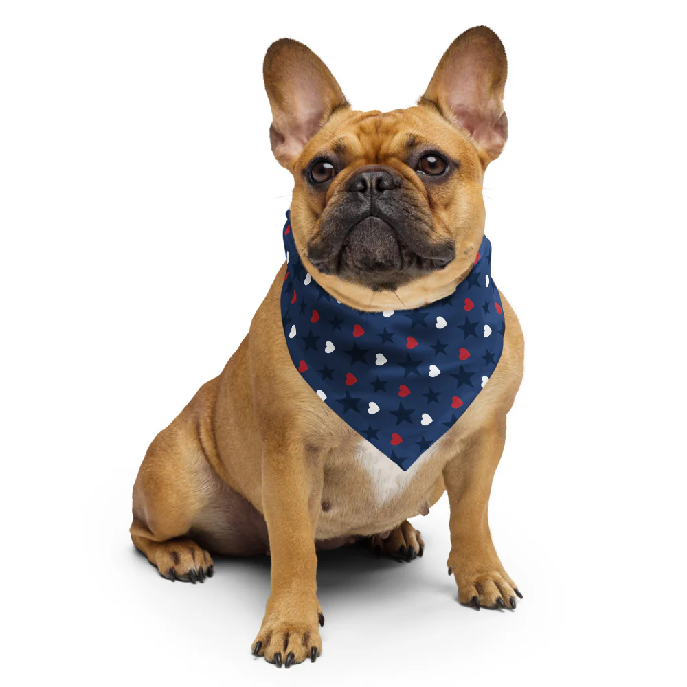 FOX News Proud American Hearts And Stars Bandana - Image 2
