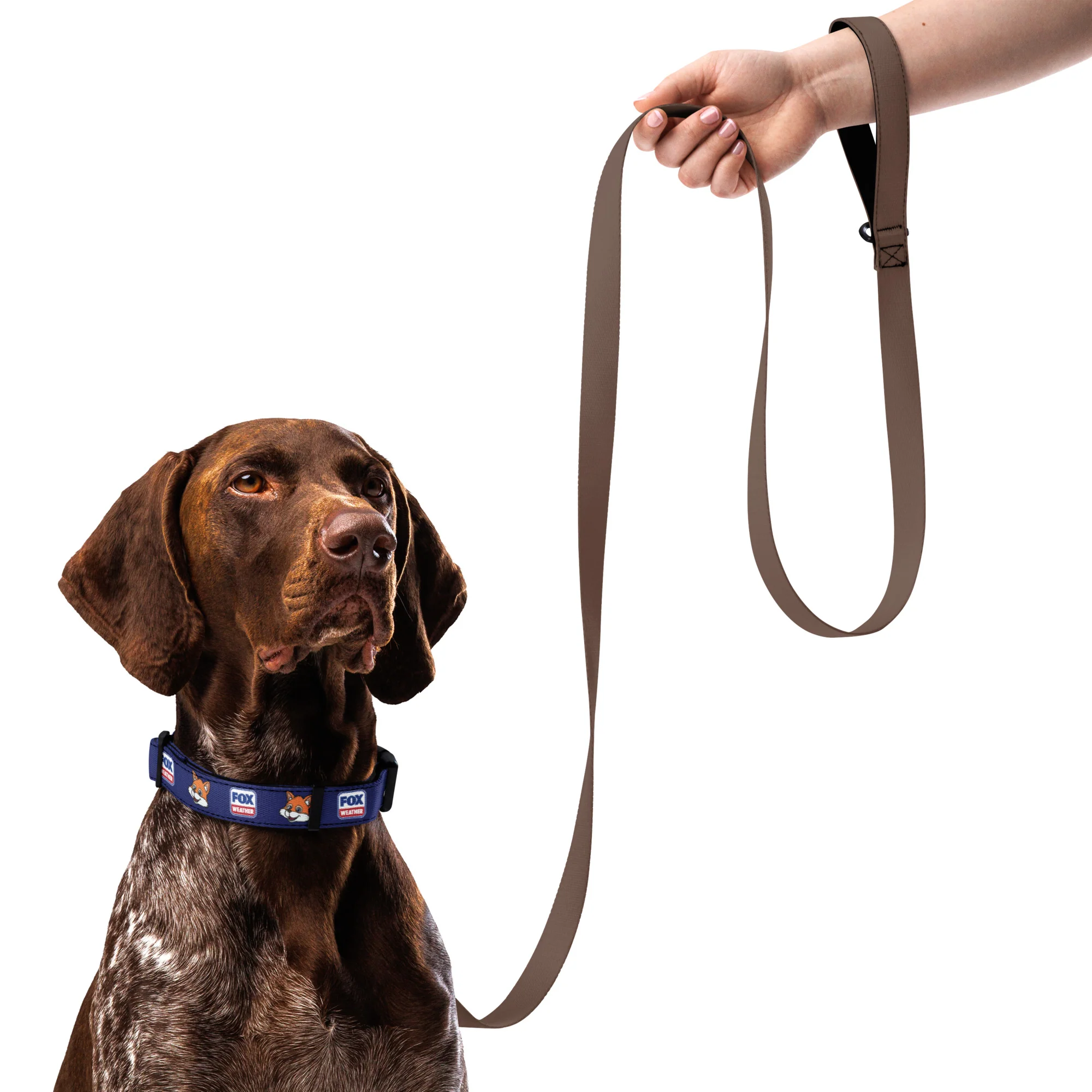 FOX Weather Sonny Pet Collar - Image 4