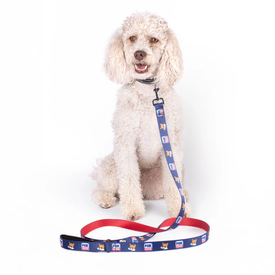FOX Weather Sonny Pet Leash - Image 3