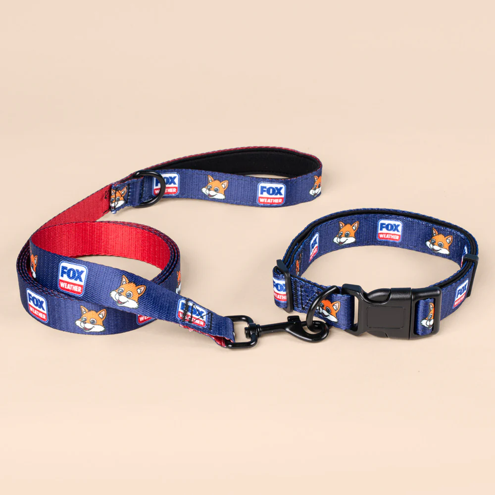 FOX Weather Sonny Pet Leash - Image 4
