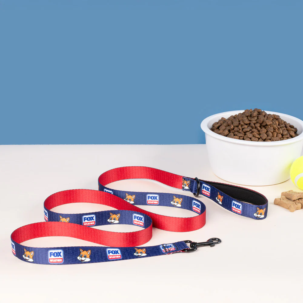 FOX Weather Sonny Pet Leash - Image 5