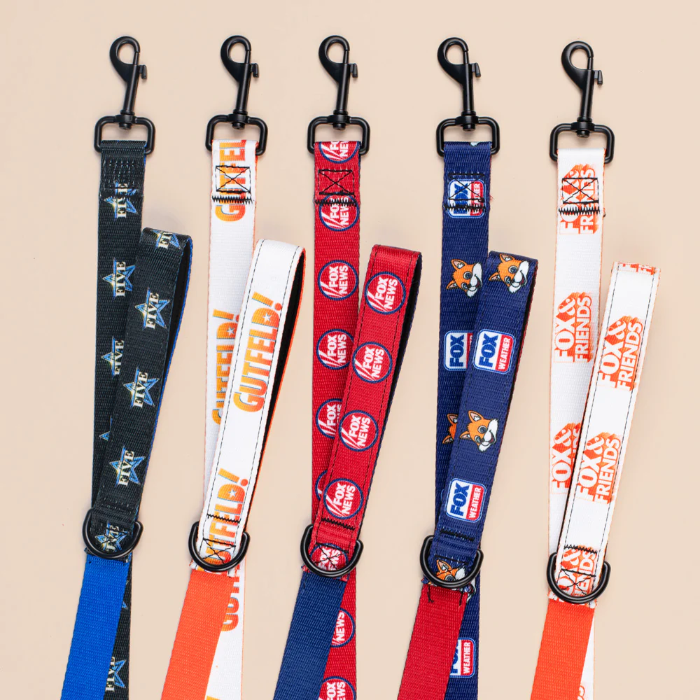 FOX Weather Sonny Pet Leash - Image 6