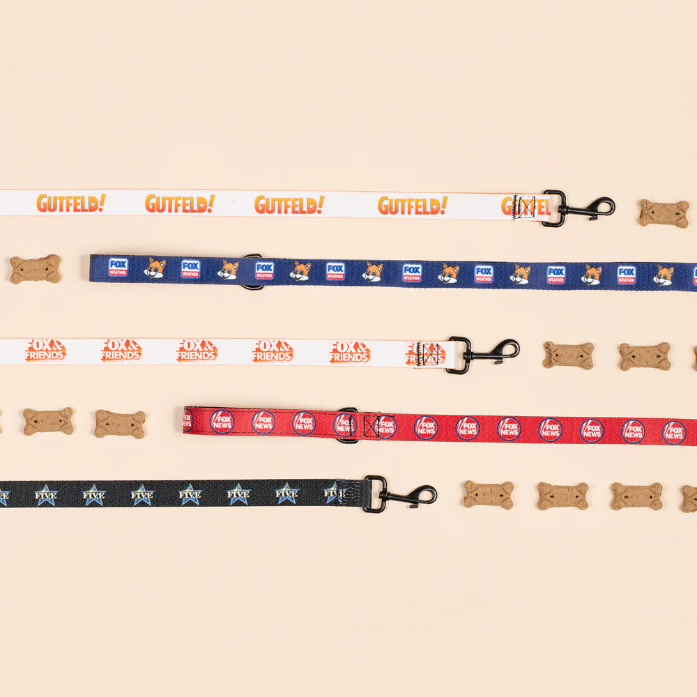 FOX Weather Sonny Pet Leash - Image 7