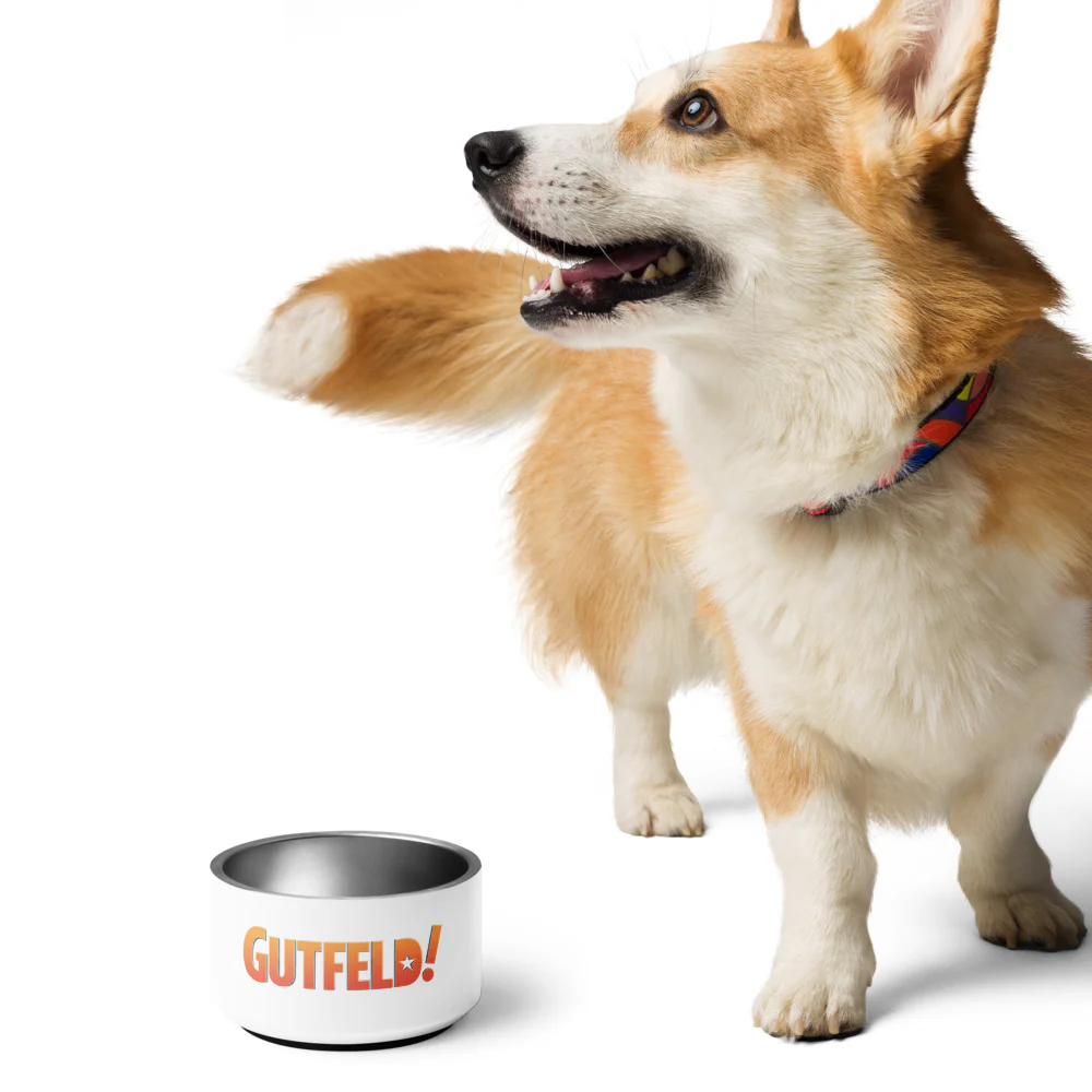 Gutfeld! Pet Bowl - Image 4