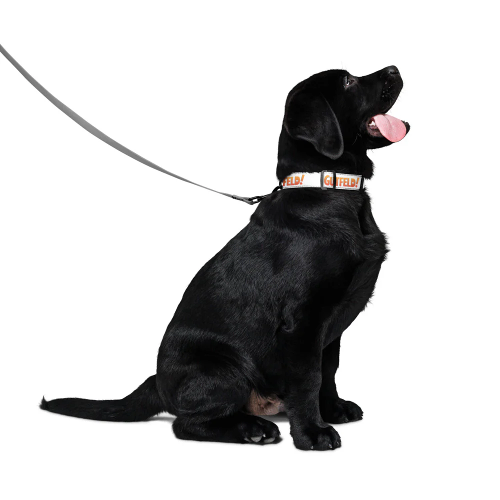 Gutfeld! Pet Collar - Image 7