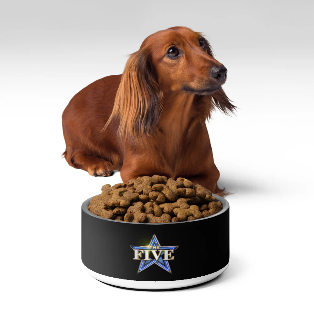 The Five Pet Bowl - Image 10