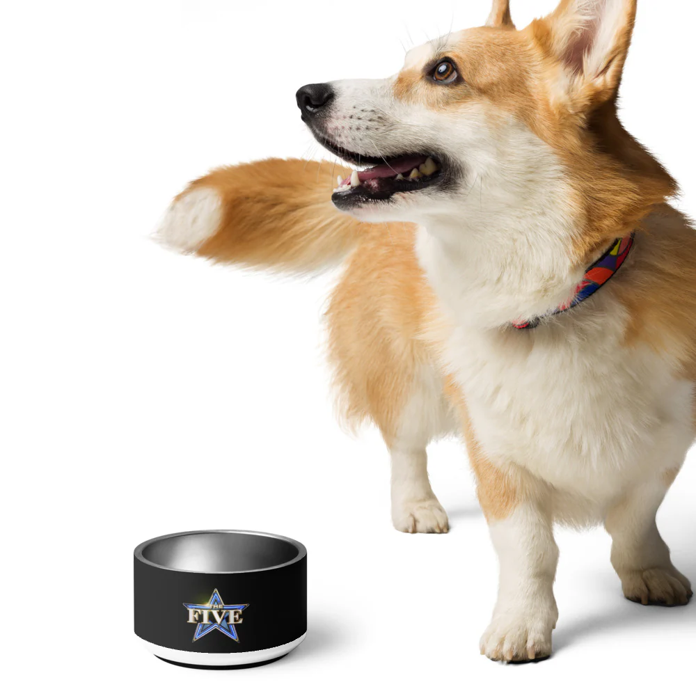 The Five Pet Bowl - Image 4