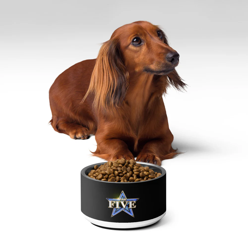 The Five Pet Bowl - Image 5