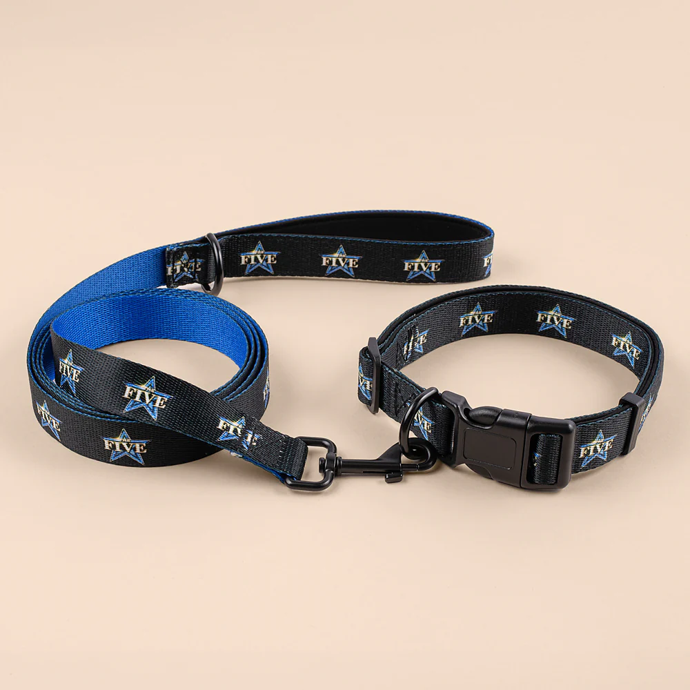 The Five Pet Collar - Image 3
