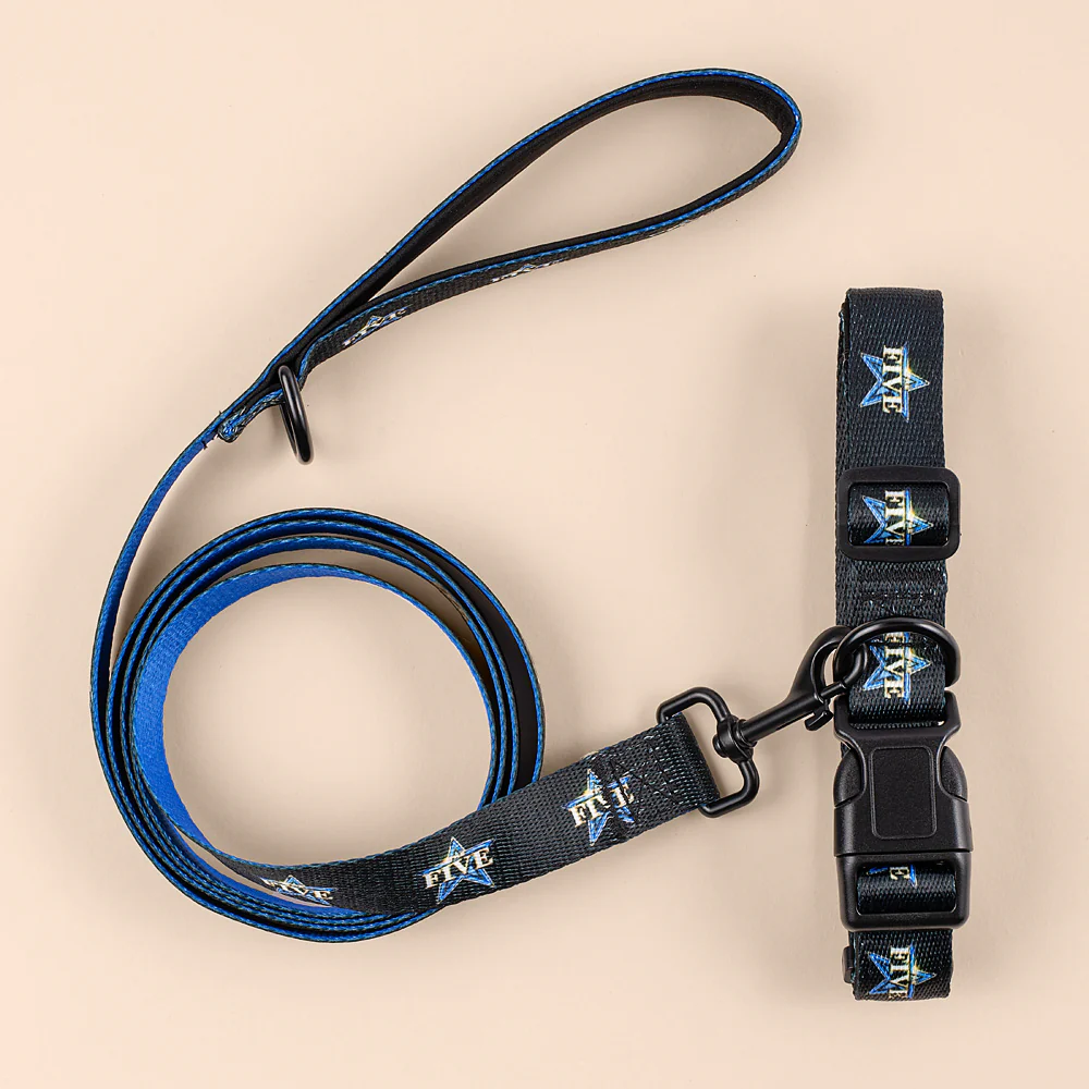 The Five Pet Collar - Image 4