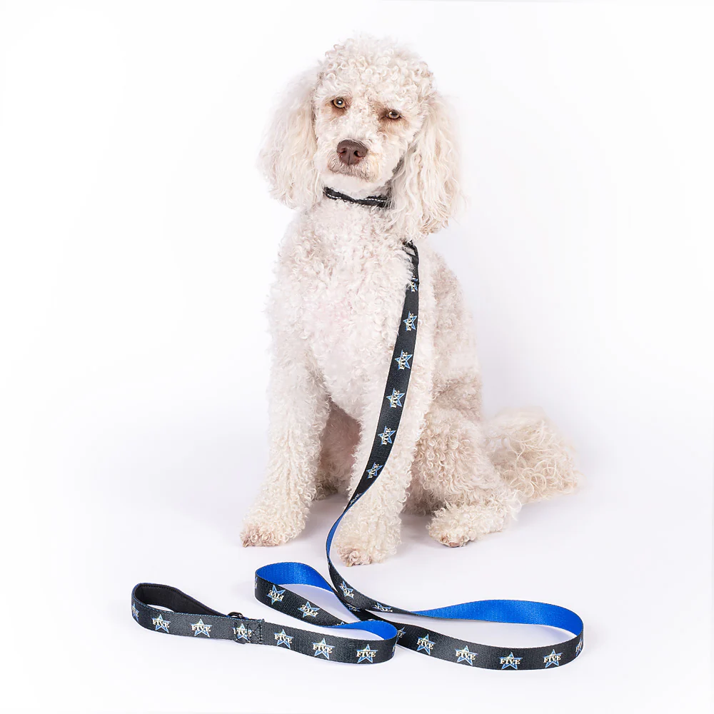 The Five Pet Leash - Image 3