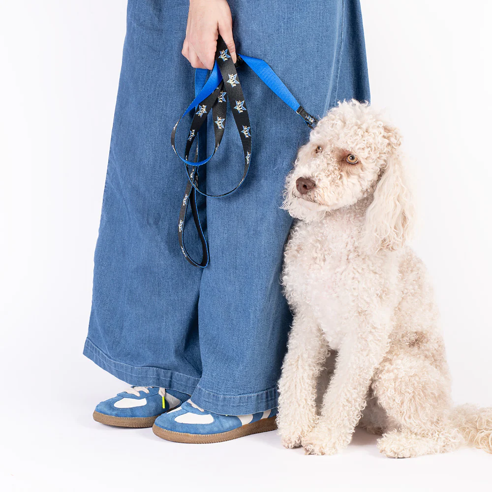 The Five Pet Leash - Image 4